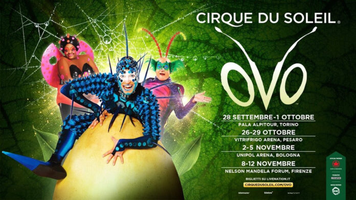 cirque du soleil ovo